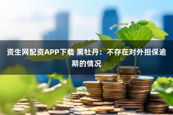 资生网配资APP下载 黑牡丹：不存在对外担保逾期的情况